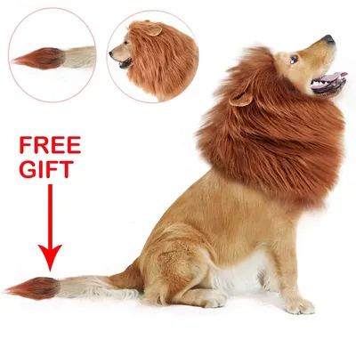Лев грива костюм для собак Лев собаки Регулируемый парик льва с ушами легко  подходит для средних/больших собак для Хэллоуина | AliExpress
