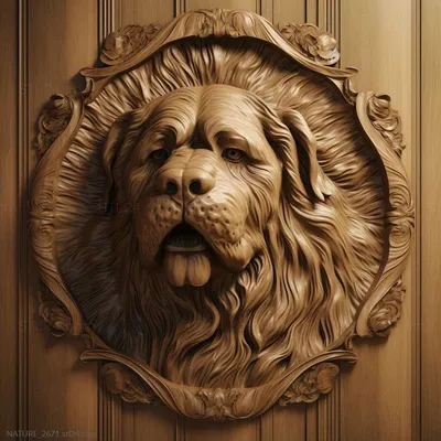Собака, как лев в деревне стоковое фото. изображение насчитывающей львев -  213242552