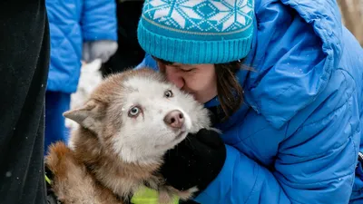 19 фото собак, доказавших кто тут друг человека | Mixnews