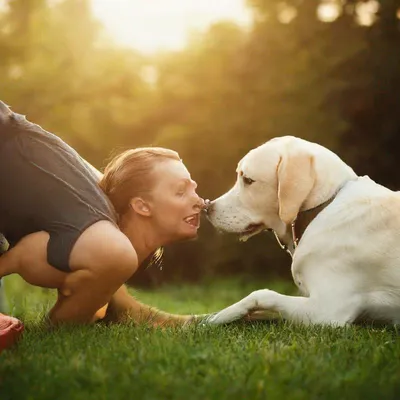 Собака- лучший друг человека» — создано в Шедевруме