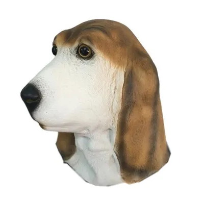 Карнавальная маска «Собака», виды МИКС - СМЛ0005145413 - оптом купить во  Владивостоке по недорогой цене в интернет-магазине Стартекс