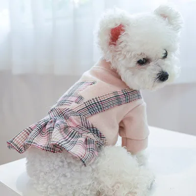 Платье для собак мелких пород Arnydog \"Мишка в клетку\" бежевое, размер L  (35 см) - купить с доставкой по выгодным ценам в интернет-магазине OZON  (785982396)
