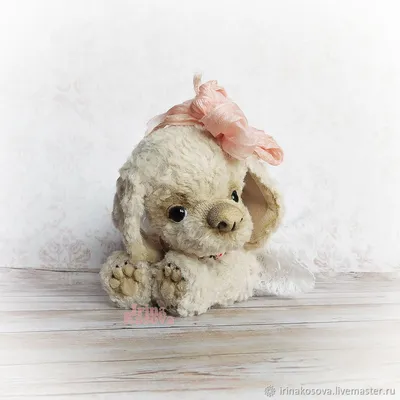 маленькая померанская собака лежит на темном фоне, картинка плюшевого мишки,  медведь, Тедди фон картинки и Фото для бесплатной загрузки