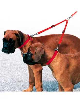 Bolux leash купить в Киеве ᐅ поводок для собаки - цена в Украине ᐅ Lovepet