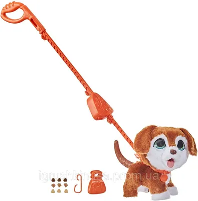 Интерактивная собака на поводке - Интерактивные животные в  интернет-магазине Toys