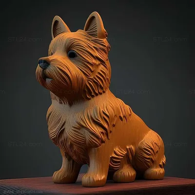 Собака породы Норвич терьер. рыжая, …» — создано в Шедевруме