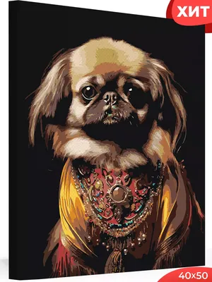 Картина по номерам ЖПН на холсте с подрамником \"Грустная собака Пекинес\"  Раскраска 40х50 см, Животные Детская - купить с доставкой по выгодным ценам  в интернет-магазине OZON (1299795578)
