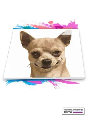 Картина по номерам на холсте Собака подозревака, 50 х 70 см - купить с  доставкой по выгодным ценам в интернет-магазине OZON (743750913)
