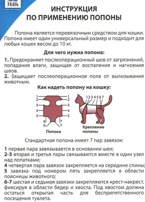 Послеоперационная попона после кастрации для мопса - Raymi Vet Products