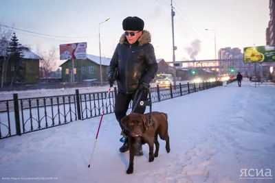 Видеопрезентация «Собака- поводырь- друг незрячего» - Культурный мир  Башкортостана