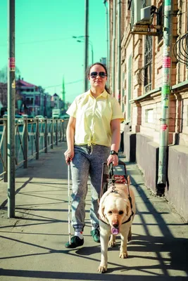 Собака-поводырь помогает слепой в парке :: Стоковая фотография ::  Pixel-Shot Studio