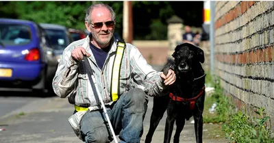 Собака-поводырь не является основным средством мобильности для незрячих –  эксперт ➜ ZMINA