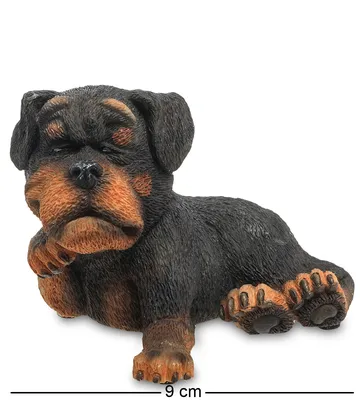 Статуэтка ГРАЦиЯ Собака Ротвейлер арт 2561MS - купить по низким ценам в  интернет-магазине OZON (314020661)