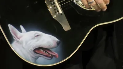 Александр Розенбаум удивил воронежцев гитарой с изображением пса