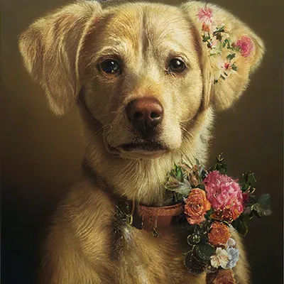 Собачьи цветы | Пикабу