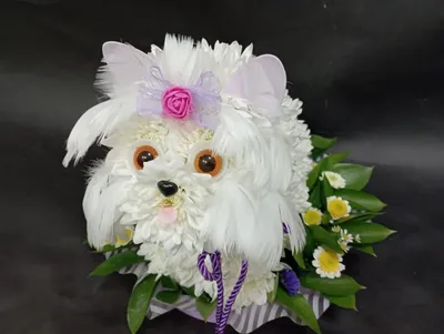 Собака с букетом полевых цветов — Картинки и авы