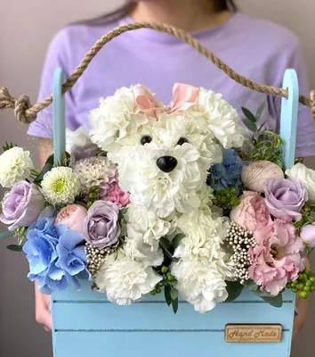 В Саратове собака носит сумки из магазина и дарит цветы — Регион 64