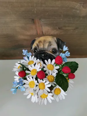 Собака с цветами (99 фото) »