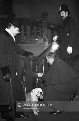 Как снимали «Собаку Баскервилей» | FotoRelax | Собаки, Дартмур, Шерлок холмс