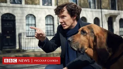 В новом сезоне \"Шерлока\" появится пес Тоби - BBC News Русская служба