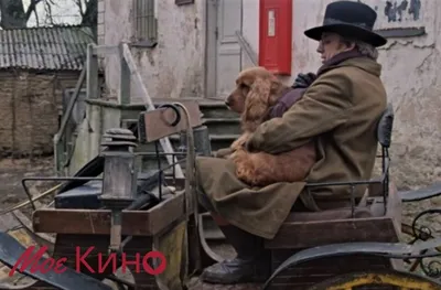 Четвероногие актёры. Самые знаменитые собаки советского кино | Моё кино |  Дзен