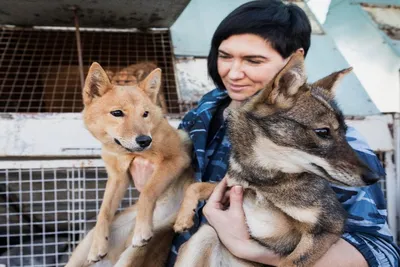 Новые модные породы собак, которые скоро появятся на улицах всех городов |  MAXIM