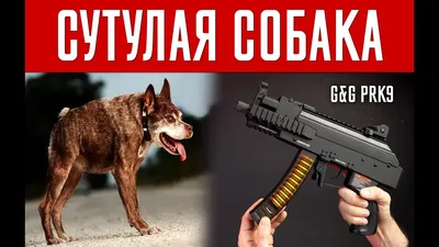 Собака сутулая) | Furry Russia Amino