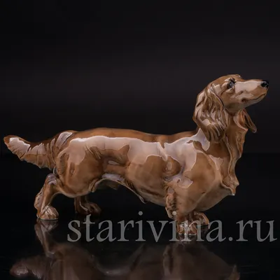 Собака Такса Бадди мягкая игрушка (ID#589234611), цена: 390 ₴, купить на  Prom.ua