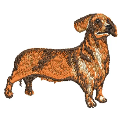 Такса Портрет Животных Собака - Бесплатное фото на Pixabay - Pixabay
