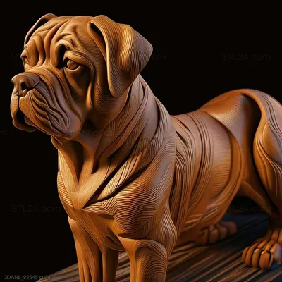 Собака Тосаину — стоковые фотографии и другие картинки Большой - Большой,  Бык - животное, Вертикальный - iStock
