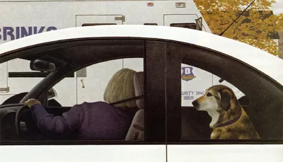 Собака в машине — Geely Tugella, 2 л, 2021 года | наблюдение | DRIVE2