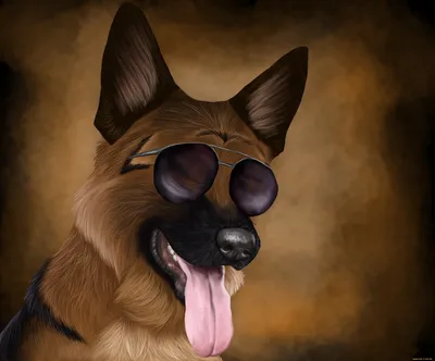 Брошь Собака в очках - купить с доставкой по выгодным ценам в  интернет-магазине OZON (1190428284)