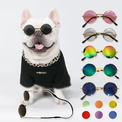 Собака в солнечных очках - Животные - Обои на рабочий стол - Галерейка