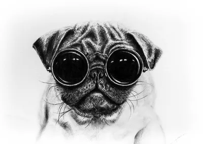 Картина Picsis Собака - серфингист в модных очках, 660x430x40 3688-10087622  - выгодная цена, отзывы, характеристики, фото - купить в Москве и РФ