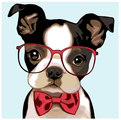 Собака в очках | Чихуахуа, Собаки, Очки