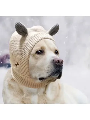 Товары для домашних животных забавная собака аксессуары шапка для собак  зимняя новогодняя собака Рождественская шапка аксессуары для домашних  животных для собак шапки | AliExpress