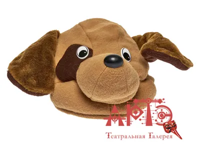 смешная собака в шерстяной шапке Stock Photo | Adobe Stock
