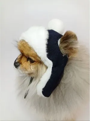 Зимние мягкие шапки для собак, теплая вязаная шапка для домашних собак,  ветрозащитная вязаная французская шапка для маленьких и средних собак –  купить по низким ценам в интернет-магазине Joom