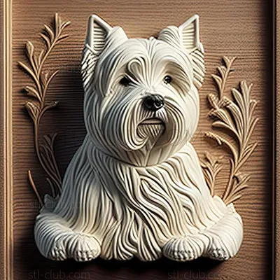 Вятские картины на холсте \"Собака Вест хайленд вайт терьер\" на подрамнике /  декор для дома / интерьер / на стену | AliExpress