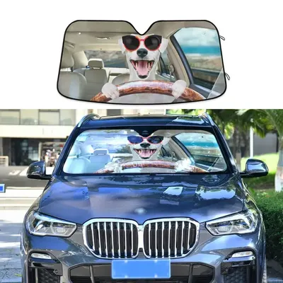 Собака за рулем автомобиля (видео) | IQ Buy Car | Дзен