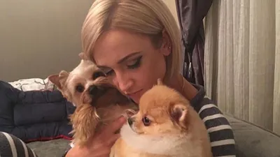 Ольга Бузова призналась, что не представляет жизнь без своих собак - Вокруг  ТВ.