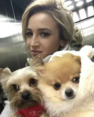 Ольга Бузова показала собак с сережками в ушах