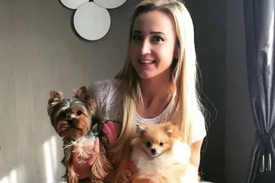 Ольга Бузова не удержалась и прокомментировала появление собаки в новой  семье Дмитрия Тарасова