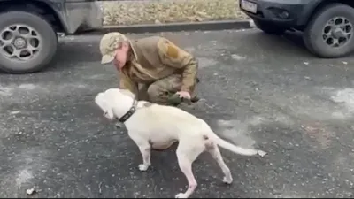 Кадыров рассказал о возвращенной украинке собаке с «Азовстали» — РБК