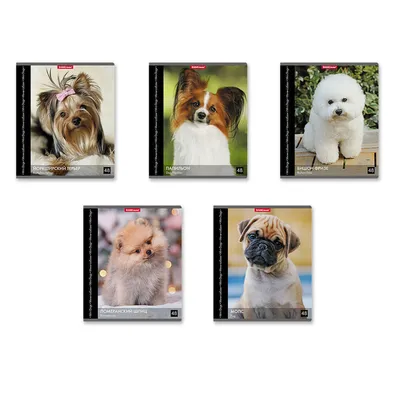 Сухой Корм Happy Dog Sensible Mini XS Japan Япония для собак мини пород с  чувствительным пищеварением – купить в Москве, цены | Интернет-магазин  Динозаврик