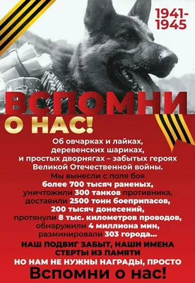 Подвиги собак во время Великой Отечественной войны 1941-1945 гг.\" 6+ -  YouTube
