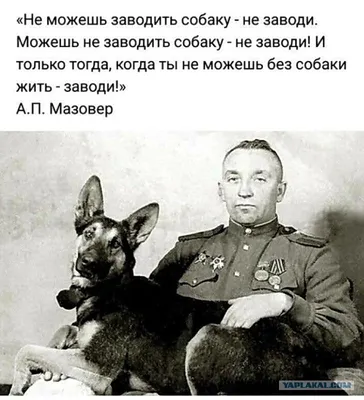 Джульбарс – самая известная собака Великой Отечественной войны