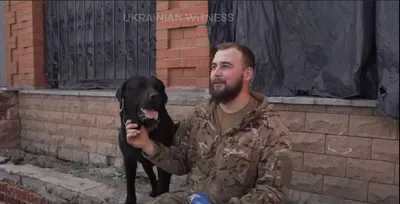 Собаки на войне - фото пса разведчика Зорро показали в ГУР МОУ