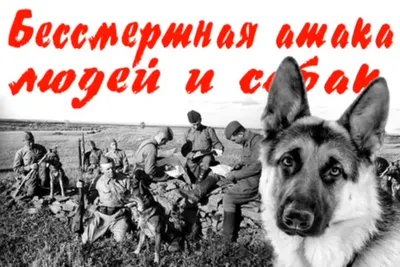Животные на Великой Отечественной войне (в картинах Алексея Комарова и  Константина Флёрова)