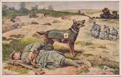 Собаки - маленькие герои большой войны